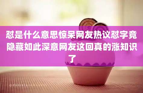 怼是什么意思惊呆网友热议怼字竟隐藏如此深意网友这回真的涨知识了