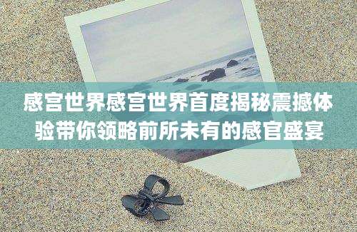 感宫世界感宫世界首度揭秘震撼体验带你领略前所未有的感官盛宴