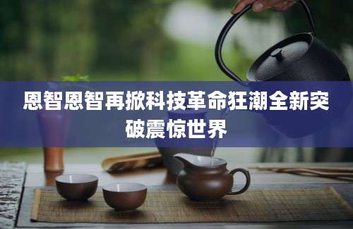 恩智恩智再掀科技革命狂潮全新突破震惊世界