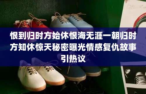 恨到归时方始休恨海无涯一朝归时方知休惊天秘密曝光情感复仇故事引热议