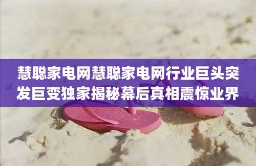 慧聪家电网慧聪家电网行业巨头突发巨变独家揭秘幕后真相震惊业界