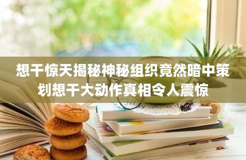 想干惊天揭秘神秘组织竟然暗中策划想干大动作真相令人震惊