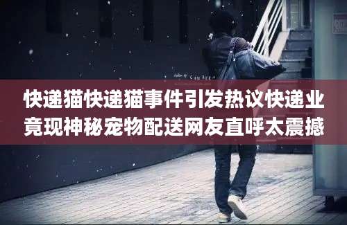 快递猫快递猫事件引发热议快递业竟现神秘宠物配送网友直呼太震撼