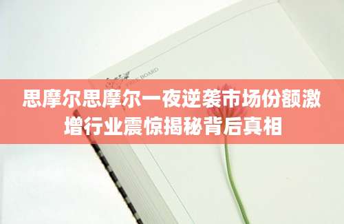思摩尔思摩尔一夜逆袭市场份额激增行业震惊揭秘背后真相