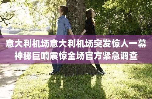 意大利机场意大利机场突发惊人一幕神秘巨响震惊全场官方紧急调查