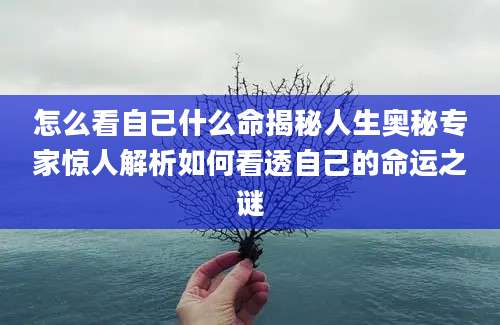 怎么看自己什么命揭秘人生奥秘专家惊人解析如何看透自己的命运之谜