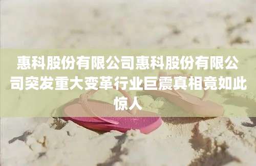 惠科股份有限公司惠科股份有限公司突发重大变革行业巨震真相竟如此惊人