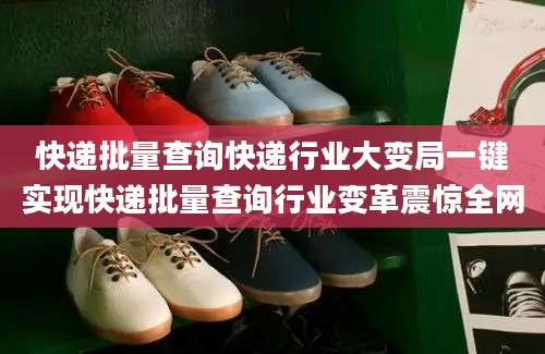 快递批量查询快递行业大变局一键实现快递批量查询行业变革震惊全网