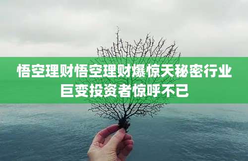 悟空理财悟空理财爆惊天秘密行业巨变投资者惊呼不已