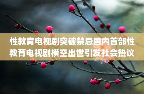 性教育电视剧突破禁忌国内首部性教育电视剧横空出世引发社会热议