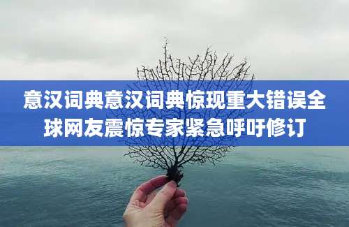 意汉词典意汉词典惊现重大错误全球网友震惊专家紧急呼吁修订