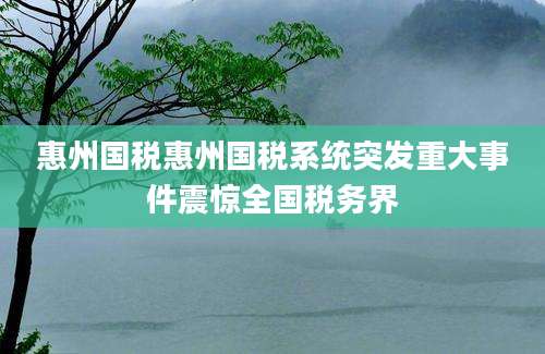惠州国税惠州国税系统突发重大事件震惊全国税务界