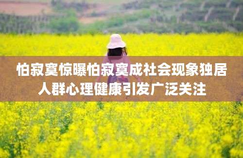 怕寂寞惊曝怕寂寞成社会现象独居人群心理健康引发广泛关注