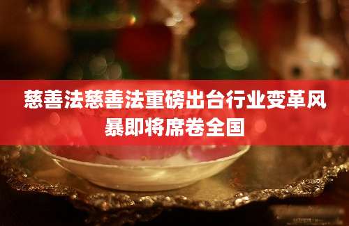 慈善法慈善法重磅出台行业变革风暴即将席卷全国