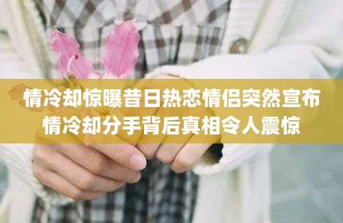 情冷却惊曝昔日热恋情侣突然宣布情冷却分手背后真相令人震惊