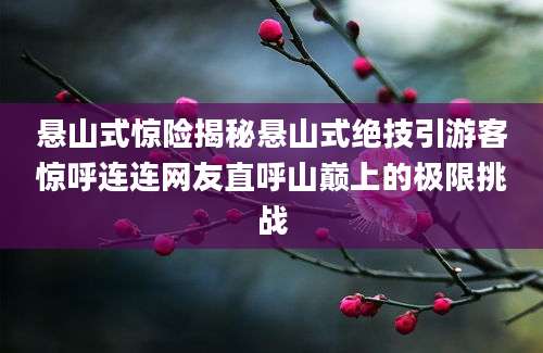 悬山式惊险揭秘悬山式绝技引游客惊呼连连网友直呼山巅上的极限挑战