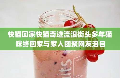 快猫回家快猫奇迹流浪街头多年猫咪终回家与家人团聚网友泪目