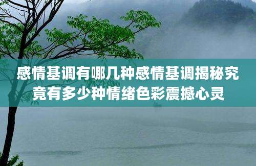 感情基调有哪几种感情基调揭秘究竟有多少种情绪色彩震撼心灵