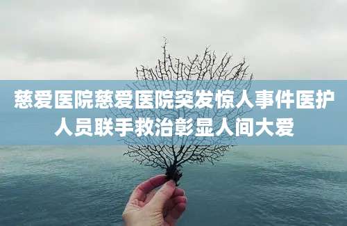 慈爱医院慈爱医院突发惊人事件医护人员联手救治彰显人间大爱