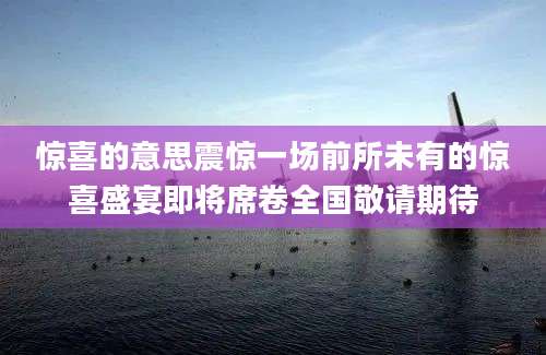 惊喜的意思震惊一场前所未有的惊喜盛宴即将席卷全国敬请期待