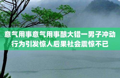 意气用事意气用事酿大错一男子冲动行为引发惊人后果社会震惊不已