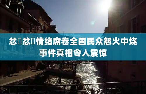 忿懥忿懥情绪席卷全国民众怒火中烧事件真相令人震惊