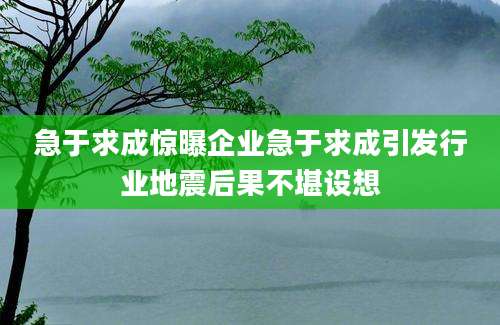 急于求成惊曝企业急于求成引发行业地震后果不堪设想