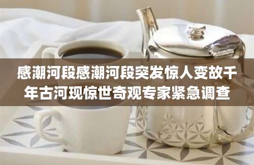 感潮河段感潮河段突发惊人变故千年古河现惊世奇观专家紧急调查