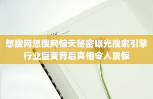 想搜网想搜网惊天秘密曝光搜索引擎行业巨变背后真相令人震惊