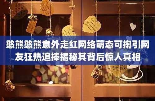 憨熊憨熊意外走红网络萌态可掬引网友狂热追捧揭秘其背后惊人真相