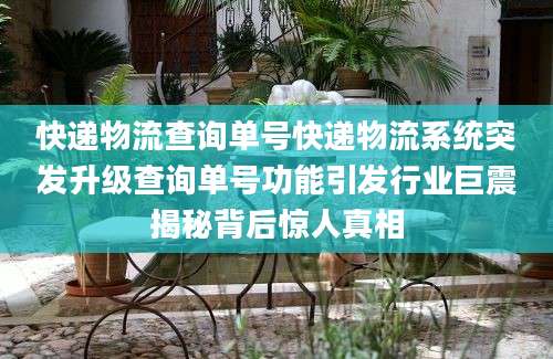 快递物流查询单号快递物流系统突发升级查询单号功能引发行业巨震揭秘背后惊人真相