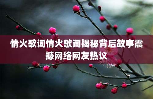 情火歌词情火歌词揭秘背后故事震撼网络网友热议