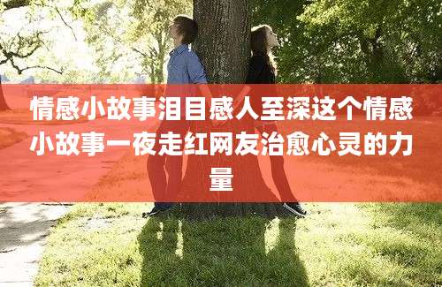 情感小故事泪目感人至深这个情感小故事一夜走红网友治愈心灵的力量