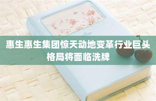 惠生惠生集团惊天动地变革行业巨头格局将面临洗牌