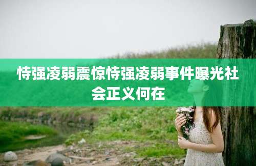恃强凌弱震惊恃强凌弱事件曝光社会正义何在