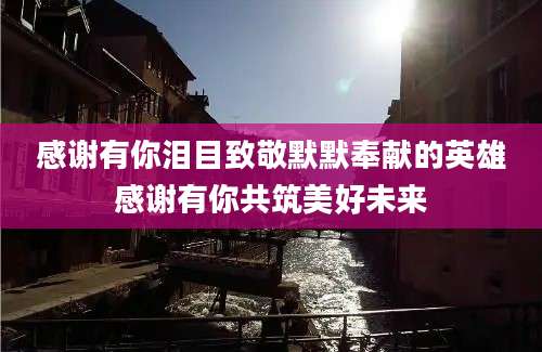 感谢有你泪目致敬默默奉献的英雄感谢有你共筑美好未来