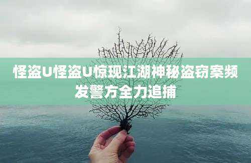 怪盗U怪盗U惊现江湖神秘盗窃案频发警方全力追捕