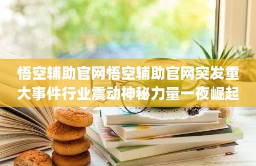 悟空辅助官网悟空辅助官网突发重大事件行业震动神秘力量一夜崛起