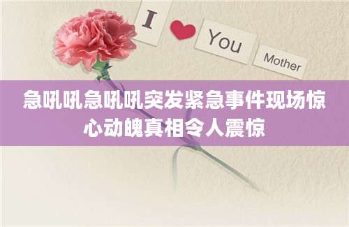 急吼吼急吼吼突发紧急事件现场惊心动魄真相令人震惊