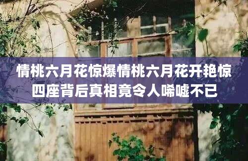 情桃六月花惊爆情桃六月花开艳惊四座背后真相竟令人唏嘘不已
