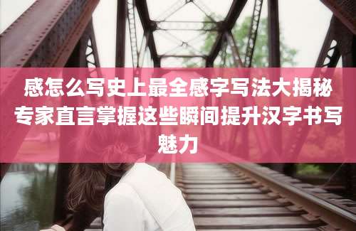 感怎么写史上最全感字写法大揭秘专家直言掌握这些瞬间提升汉字书写魅力