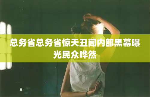 总务省总务省惊天丑闻内部黑幕曝光民众哗然