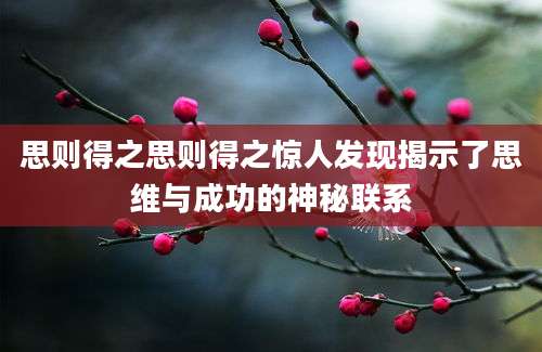 思则得之思则得之惊人发现揭示了思维与成功的神秘联系