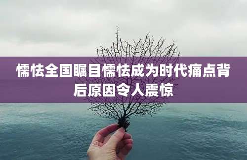 懦怯全国瞩目懦怯成为时代痛点背后原因令人震惊