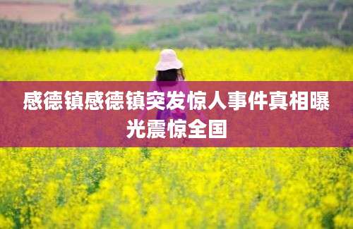 感德镇感德镇突发惊人事件真相曝光震惊全国