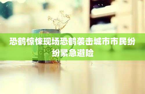 恐鹤惊悚现场恐鹤袭击城市市民纷纷紧急避险