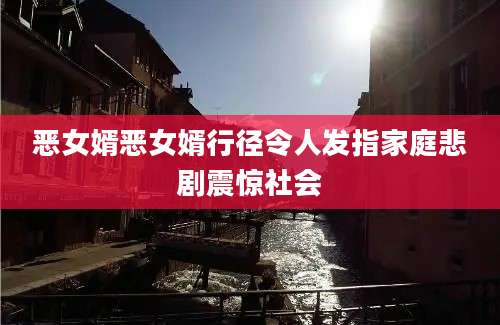 恶女婿恶女婿行径令人发指家庭悲剧震惊社会