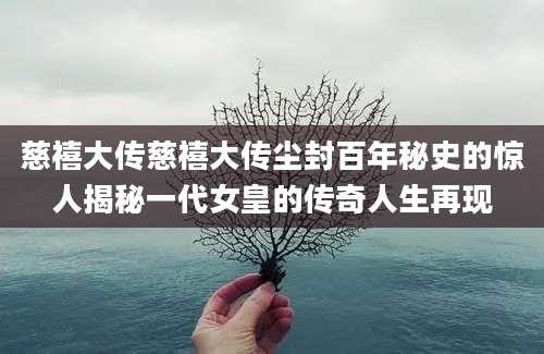 慈禧大传慈禧大传尘封百年秘史的惊人揭秘一代女皇的传奇人生再现