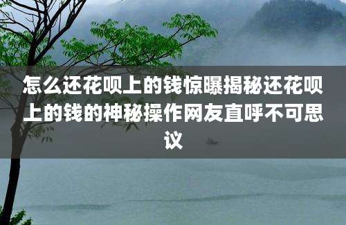 怎么还花呗上的钱惊曝揭秘还花呗上的钱的神秘操作网友直呼不可思议