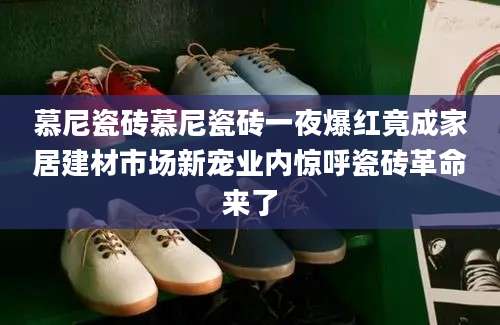 慕尼瓷砖慕尼瓷砖一夜爆红竟成家居建材市场新宠业内惊呼瓷砖革命来了